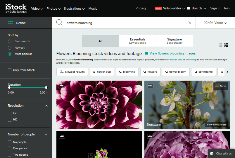 iStock - 鮮花盛開