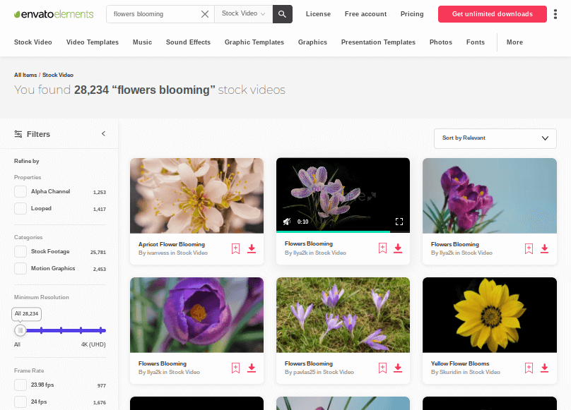 Envato 元素 - 鮮花盛開