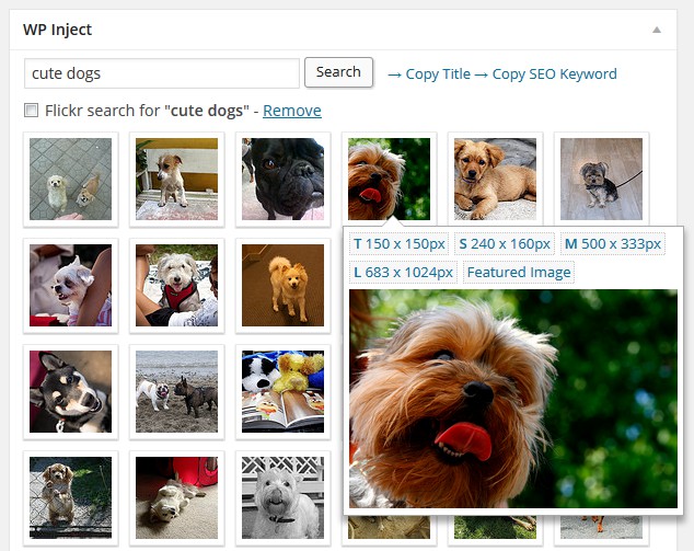 Plugin Pemasaran Digital WordPress: ImageInject