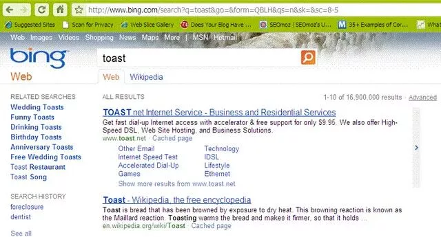 토스트용 Bing SERP