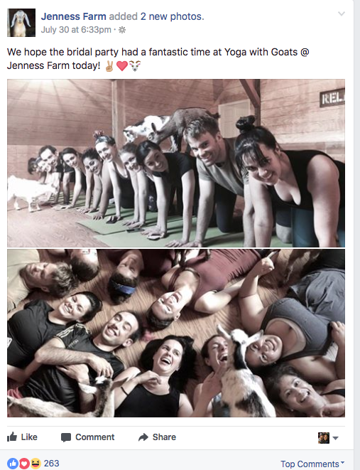 kleine unternehmen, die viral wurden jenness farm