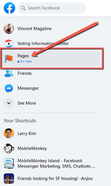 Pagine Facebook