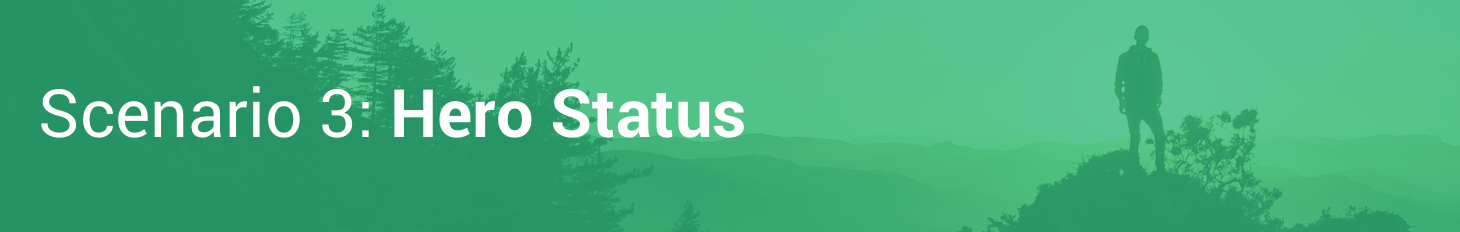 Scenariul 3: Statutul erou