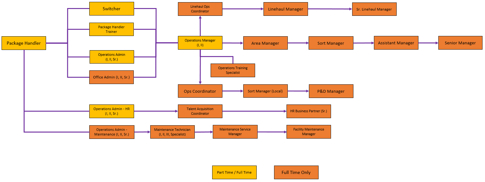 Una mappa della carriera per un dipendente FedEx