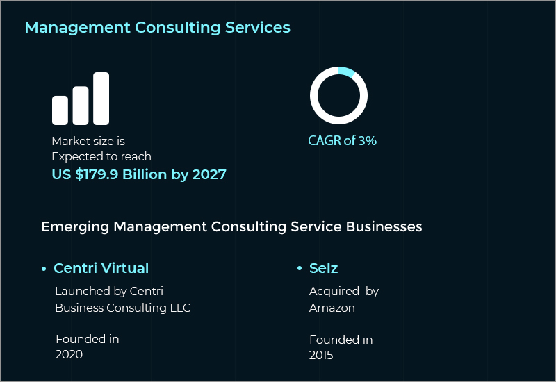 serviços de consultoria em gestão