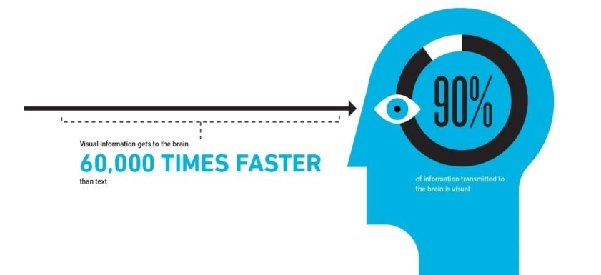 Cómo se transmite la información visual al cerebro