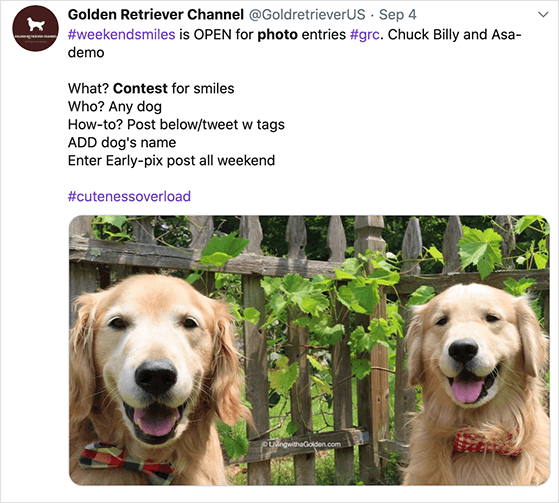 Twitter-Fotowettbewerb - RafflePress social meda photo contest