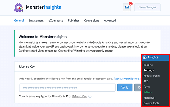 Monsterinsights 라이센스 키 - RafflePress enter your monsterinsights license key
