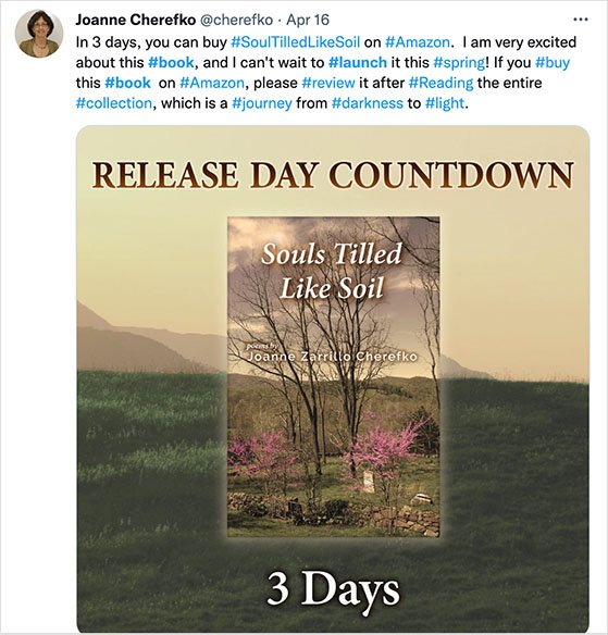 twitter-book-launch-ideas - RafflePress Twitter book launch