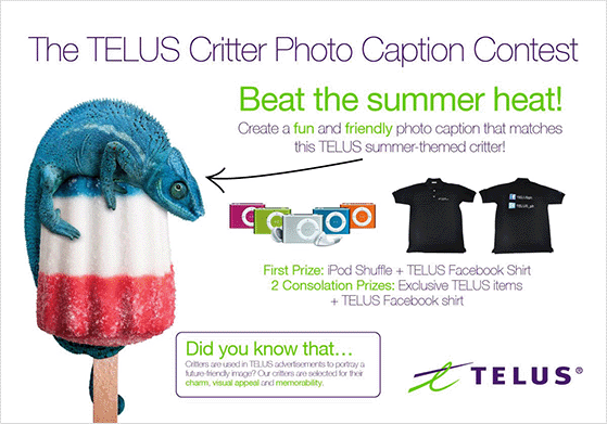 夏季字幕比賽 - RafflePress Summer caption this photo contest