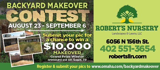 花園改造比賽 - RafflePress backyard makeover summer contest ideas