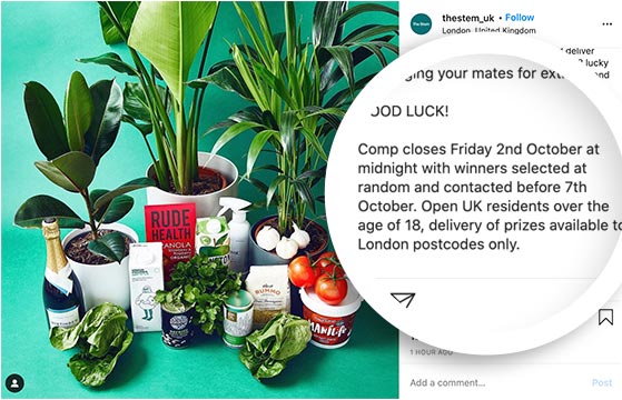 確定您的贈品規則-RafflePress Instagram giveaway rules