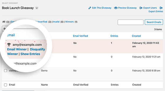 電子郵件中獎者 - RafflePress email the giveaway winner