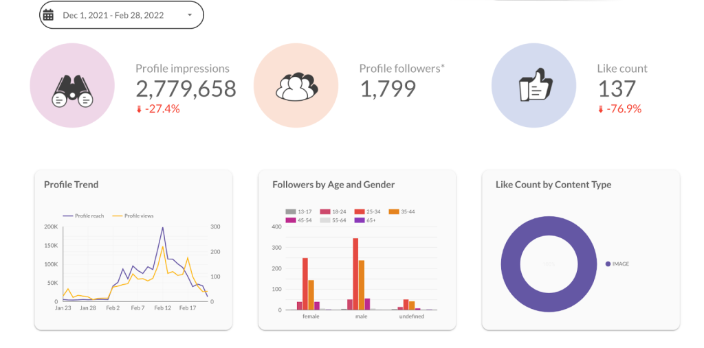 supermetrics instagram 洞察概覽報告模板